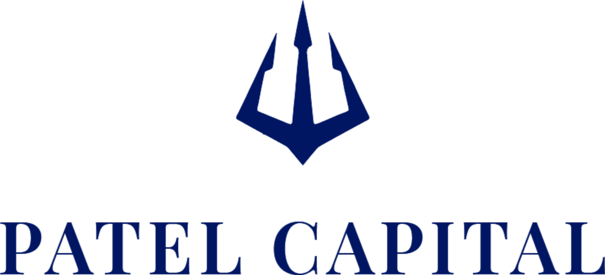 Meet our team patel capital